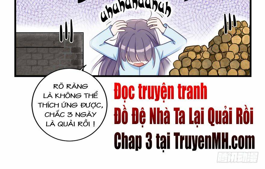 Đồ Đệ Nhà Ta Lại Quải Rồi: Chương 2