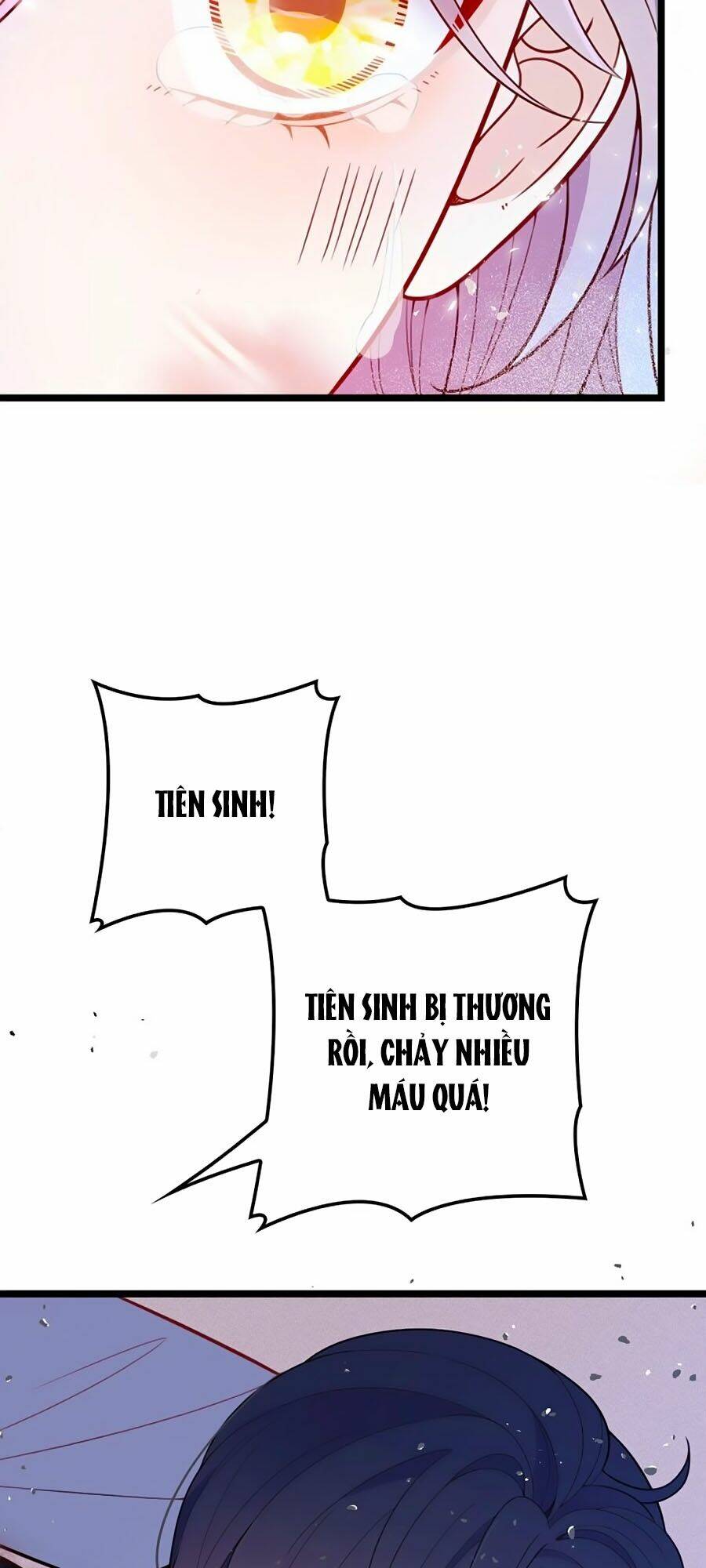 Cô Vợ Mang Thai Một Tặng Một [Chap 1-285]