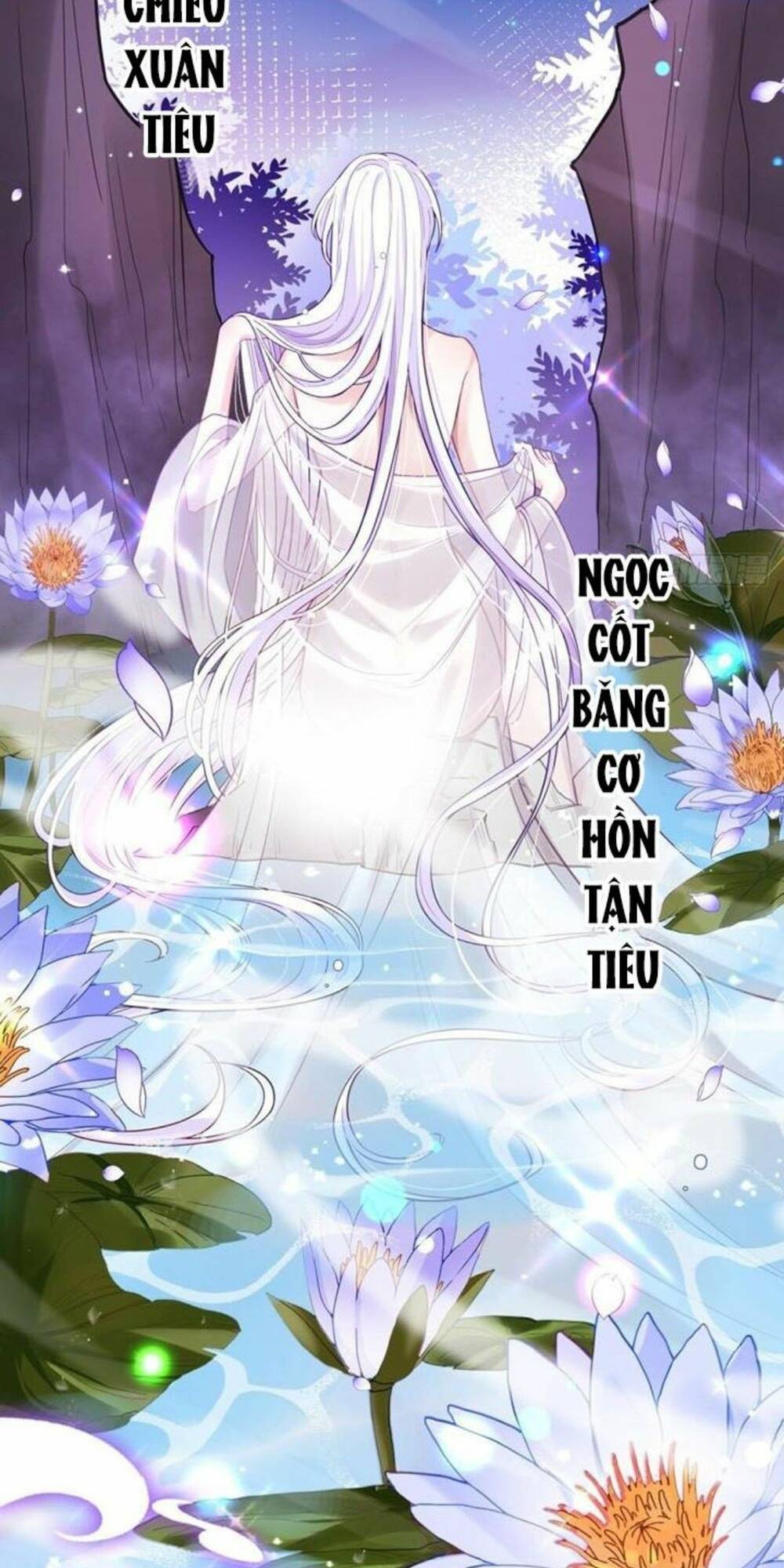 Hậu Cung Ba Ngàn Của Nãi Nãi Chapter 1 - TC Truyện