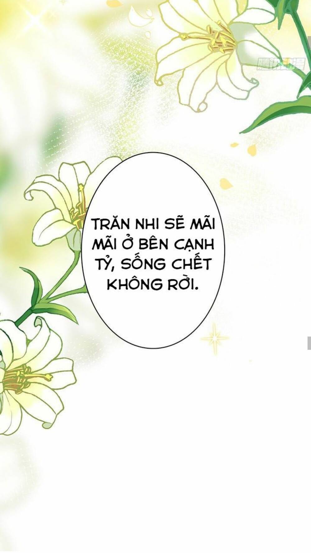 Hậu Cung Ba Ngàn Của Nãi Nãi Chapter 13 - TC Truyện