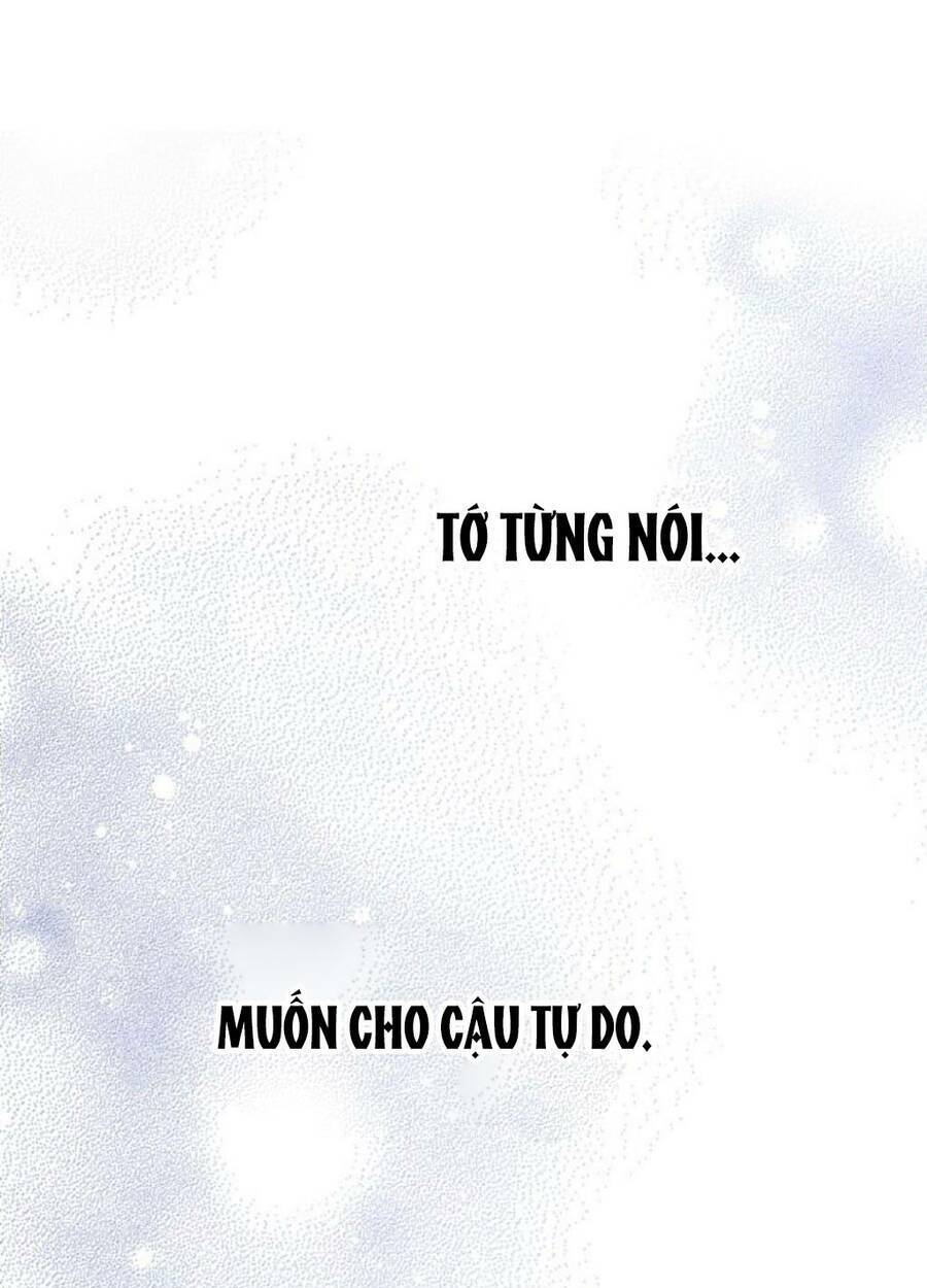 Luật Của Tiểu Thuyết Mạng