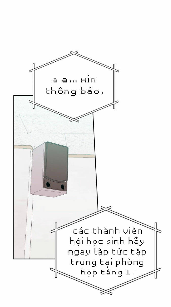 Luật Của Tiểu Thuyết Mạng