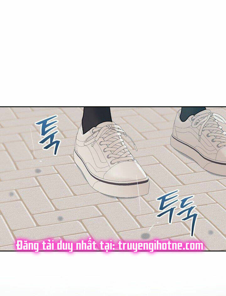 Luật Của Tiểu Thuyết Mạng