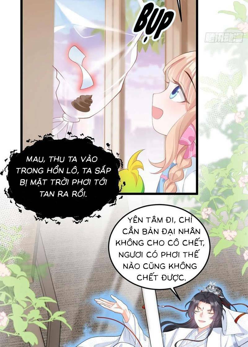 Bé Thóc Đáng Thương Được Tám Người Cậu Tranh Sủng