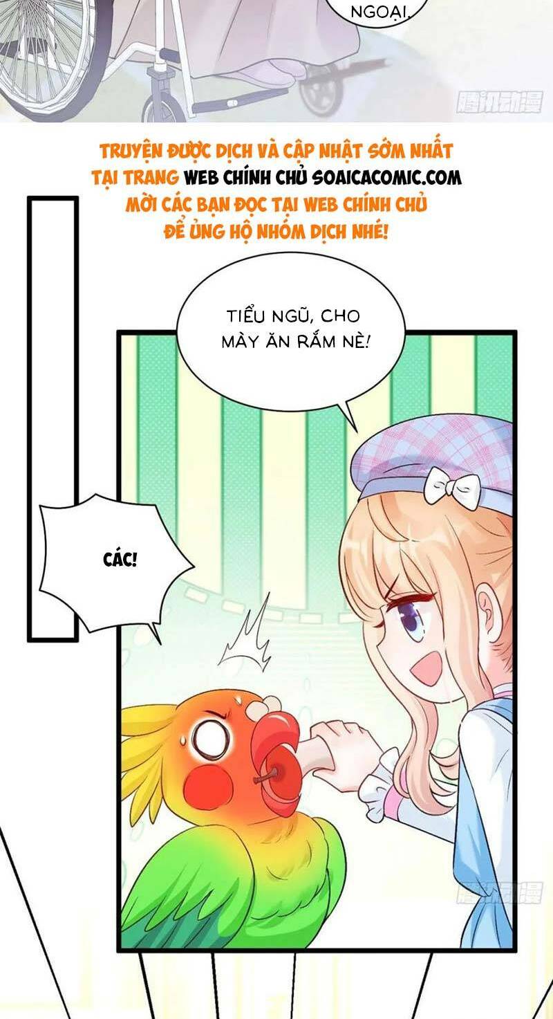 Bé Thóc Đáng Thương Được Tám Người Cậu Tranh Sủng
