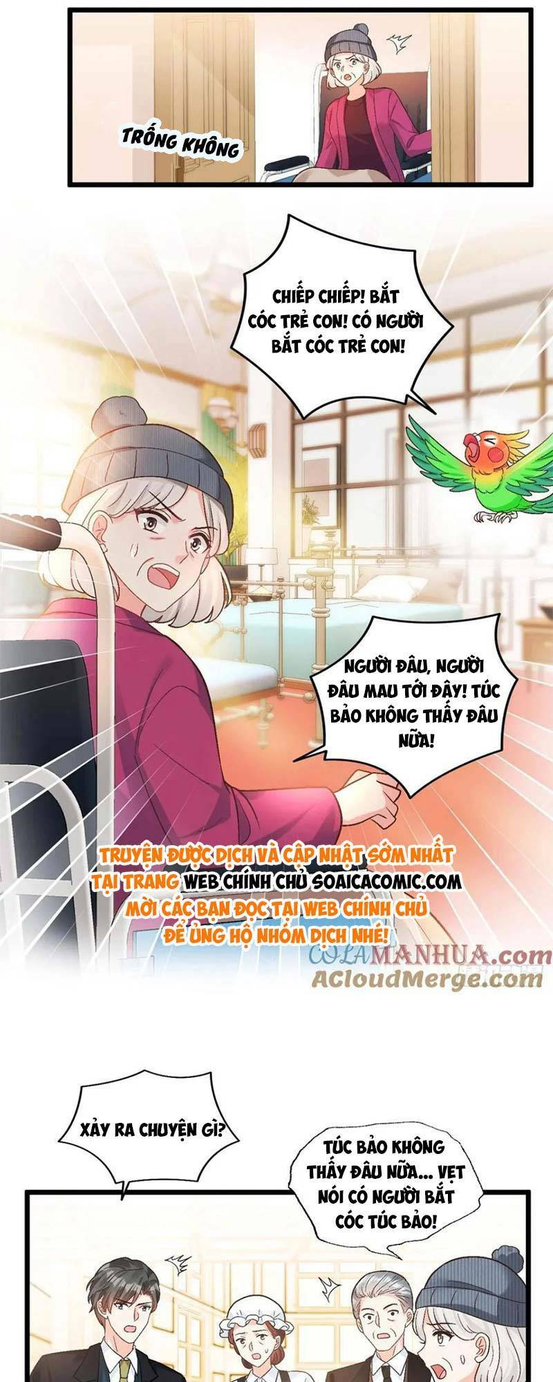 Bé Thóc Đáng Thương Được Tám Người Cậu Tranh Sủng