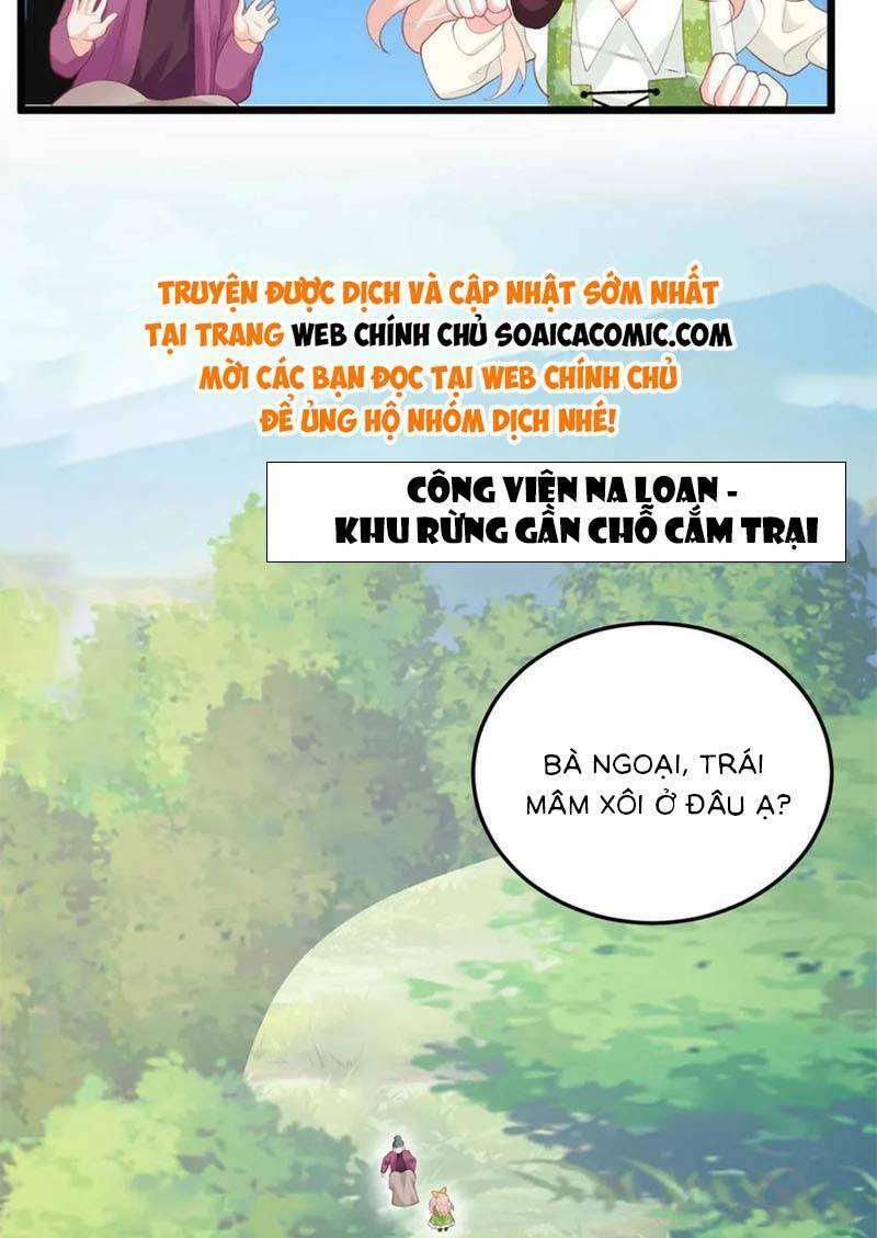 Bé Thóc Đáng Thương Được Tám Người Cậu Tranh Sủng