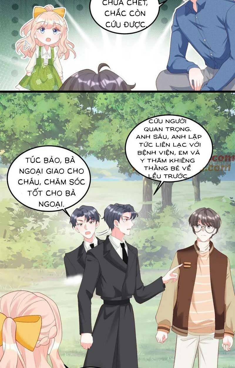 Bé Thóc Đáng Thương Được Tám Người Cậu Tranh Sủng