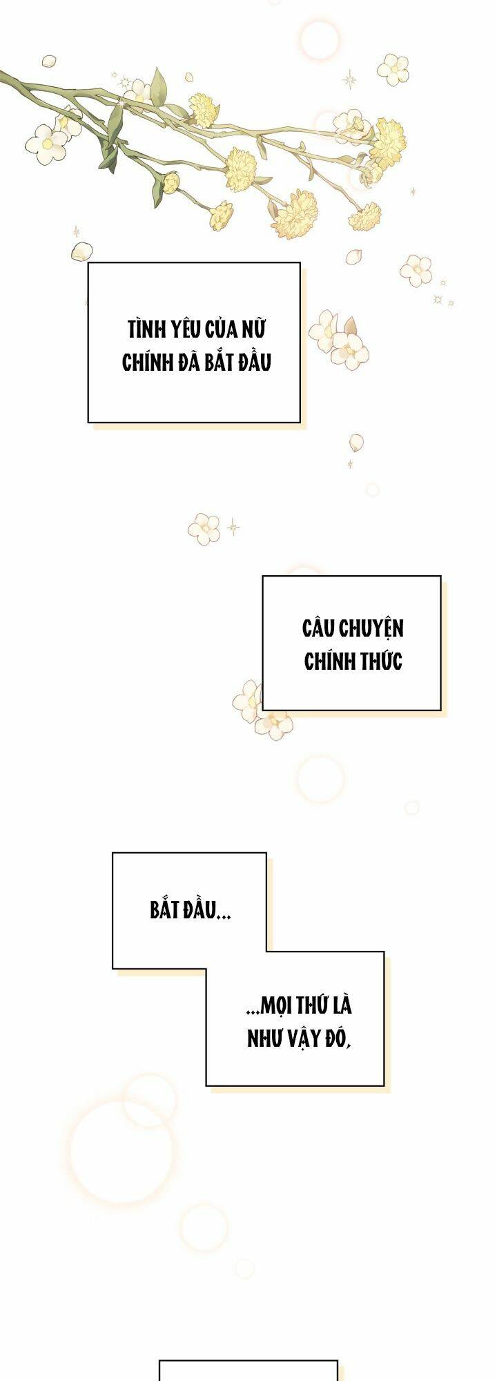 Nữ Chính Ngoại Tình Với Vị Hôn Phu Của Tôi: Chương 1