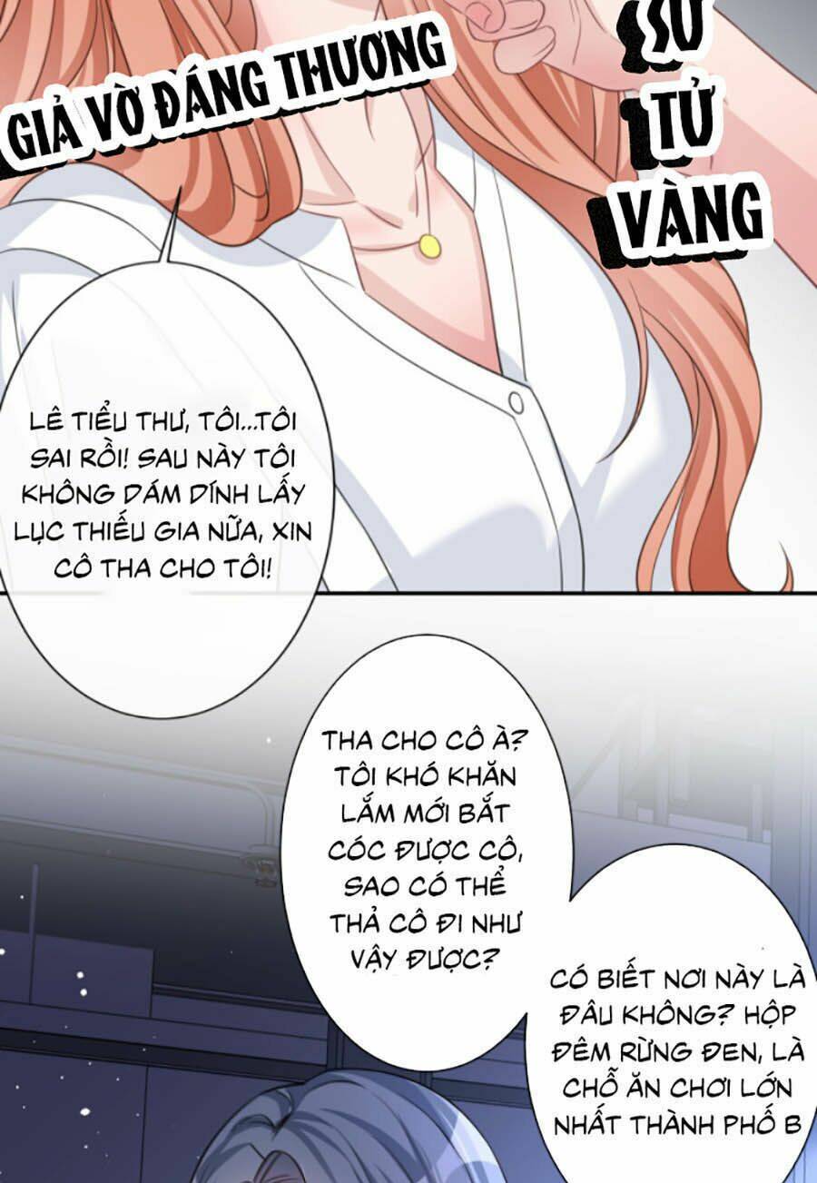 Hôm Nay Từ Chối Lục Tiên Sinh Chưa [Chap 1-205]