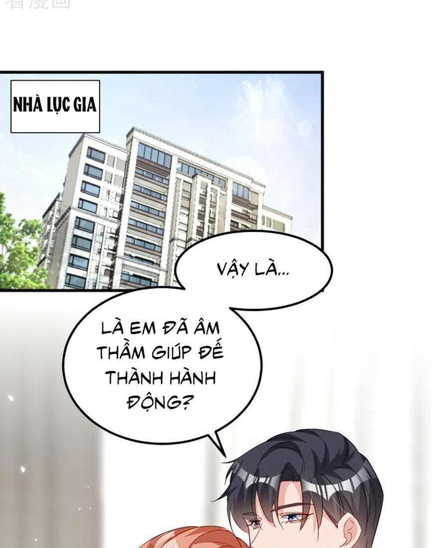 Hôm Nay Từ Chối Lục Tiên Sinh Chưa [Chap 1-205]