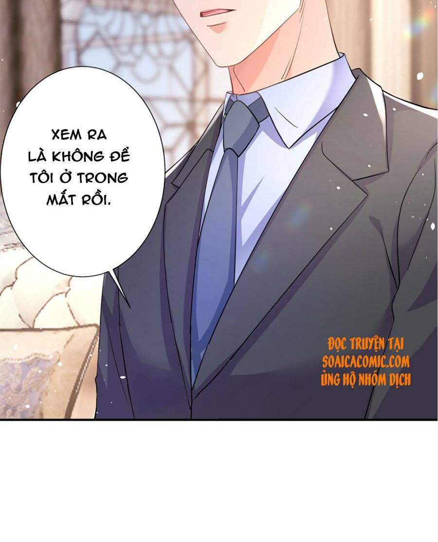 Hôm Nay Từ Chối Lục Tiên Sinh Chưa [Chap 1-205]