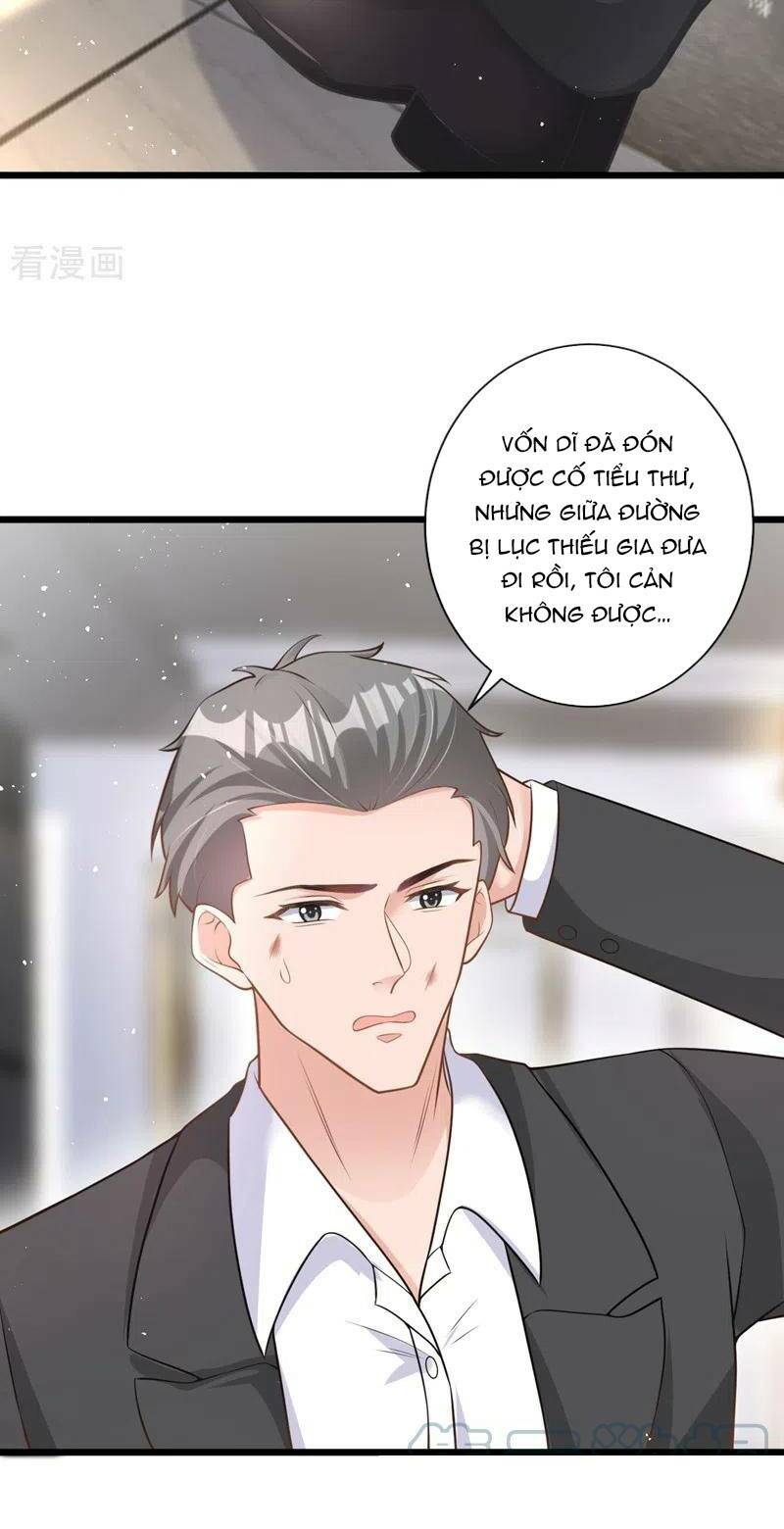 Hôm Nay Từ Chối Lục Tiên Sinh Chưa [Chap 1-205]