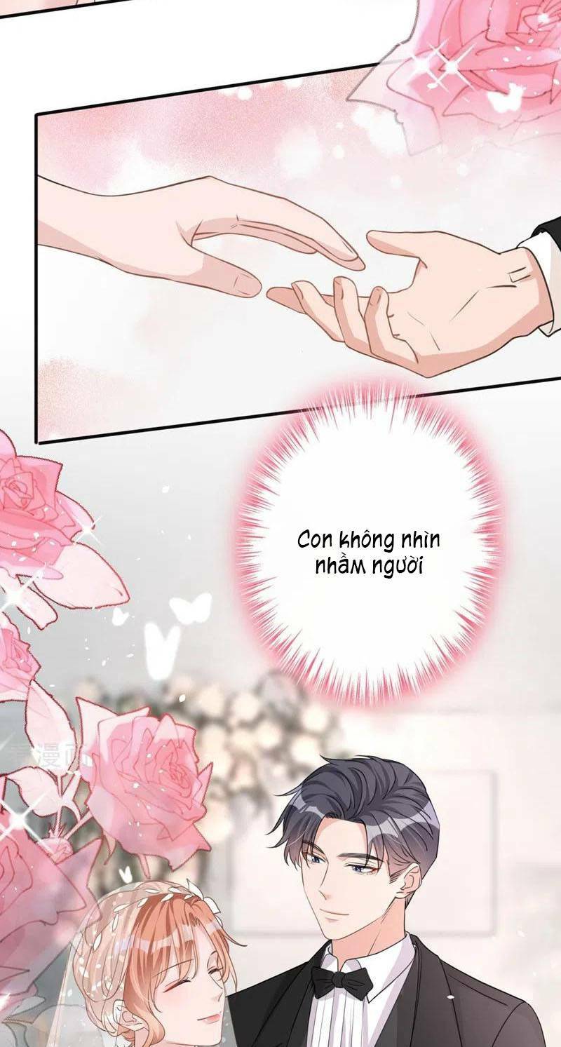 Hôm Nay Từ Chối Lục Tiên Sinh Chưa [Chap 1-205]