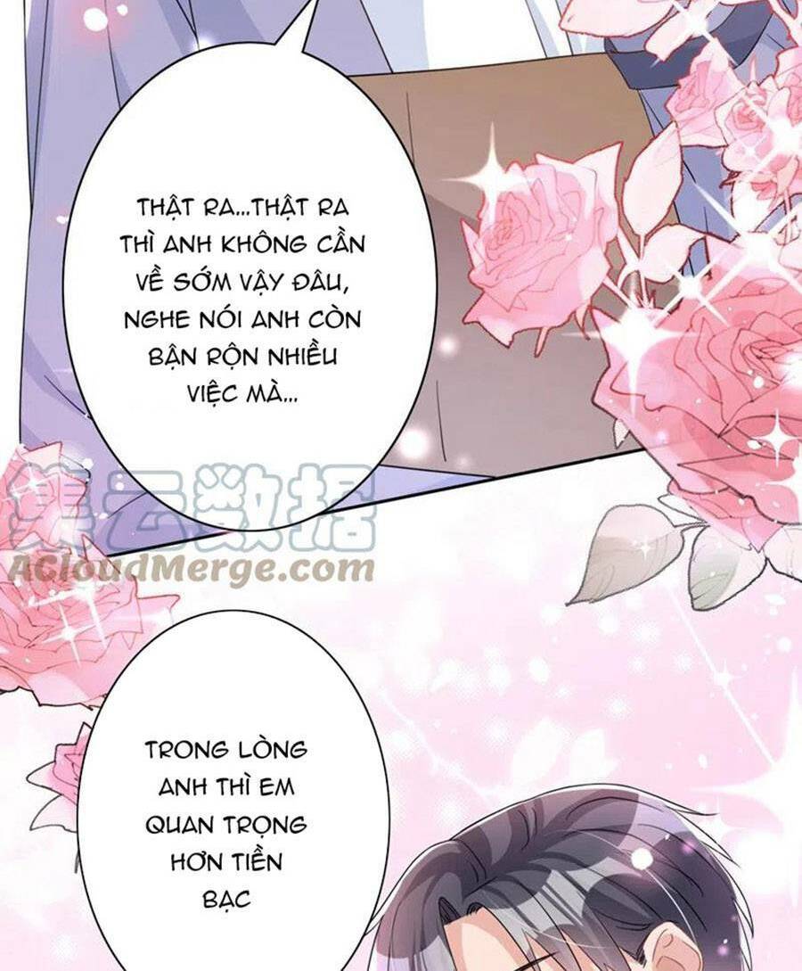 Hôm Nay Từ Chối Lục Tiên Sinh Chưa [Chap 1-205]