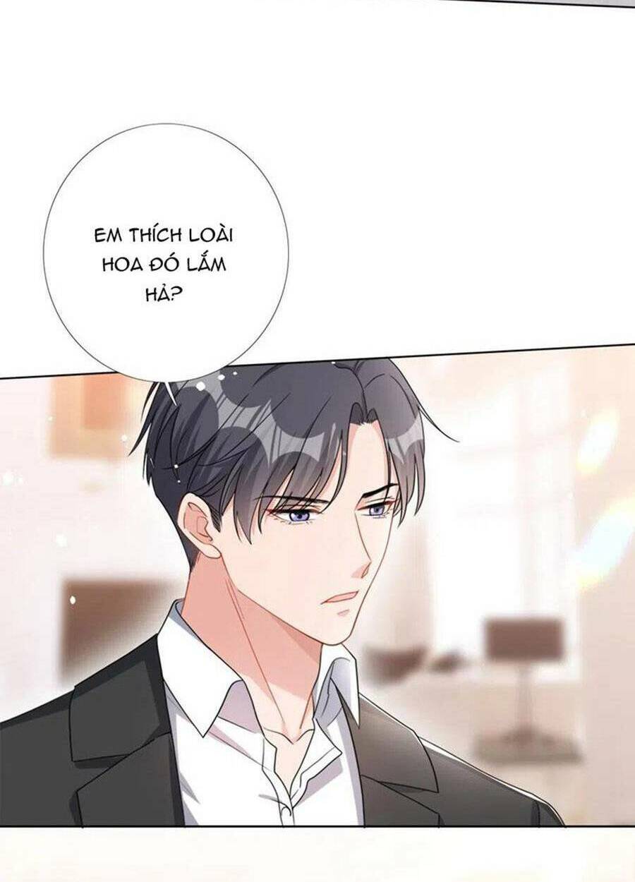 Hôm Nay Từ Chối Lục Tiên Sinh Chưa [Chap 1-205]