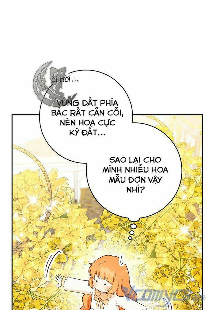 Sóc Nhỏ Tài Năng [Chap 1-66]