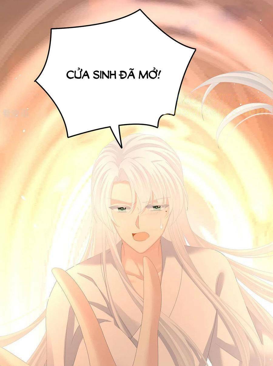 Hậu Cung Của Nữ Đế [Chap 368-369] - Page 40