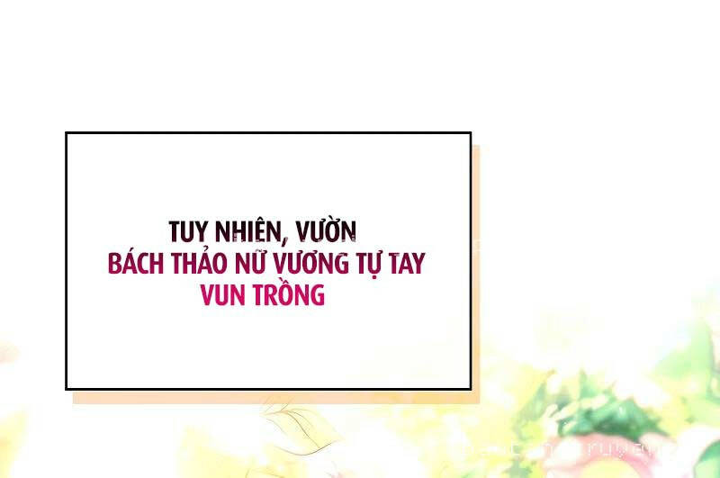 Thiên Tài Ma Pháp Sư Giấu Nghề [Chap 81-82] - Page 34