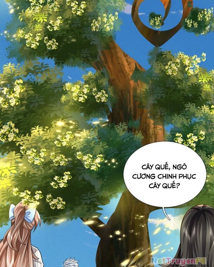 Luyện Thể Trăm Nghìn Tầng [Chap 387] - Page 11