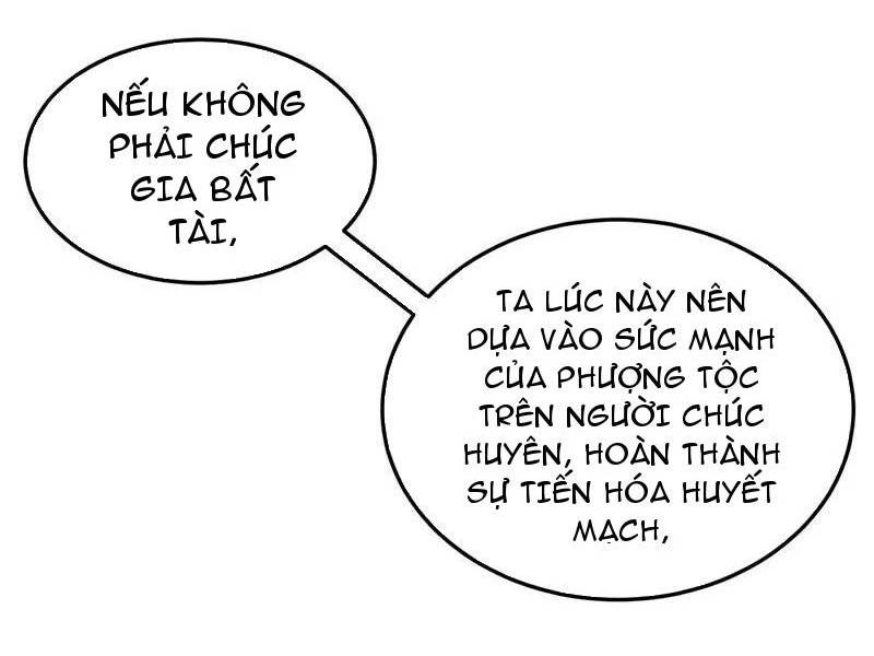 Đệ Tử Tu Luyện Còn Ta Thì Lười Biếng