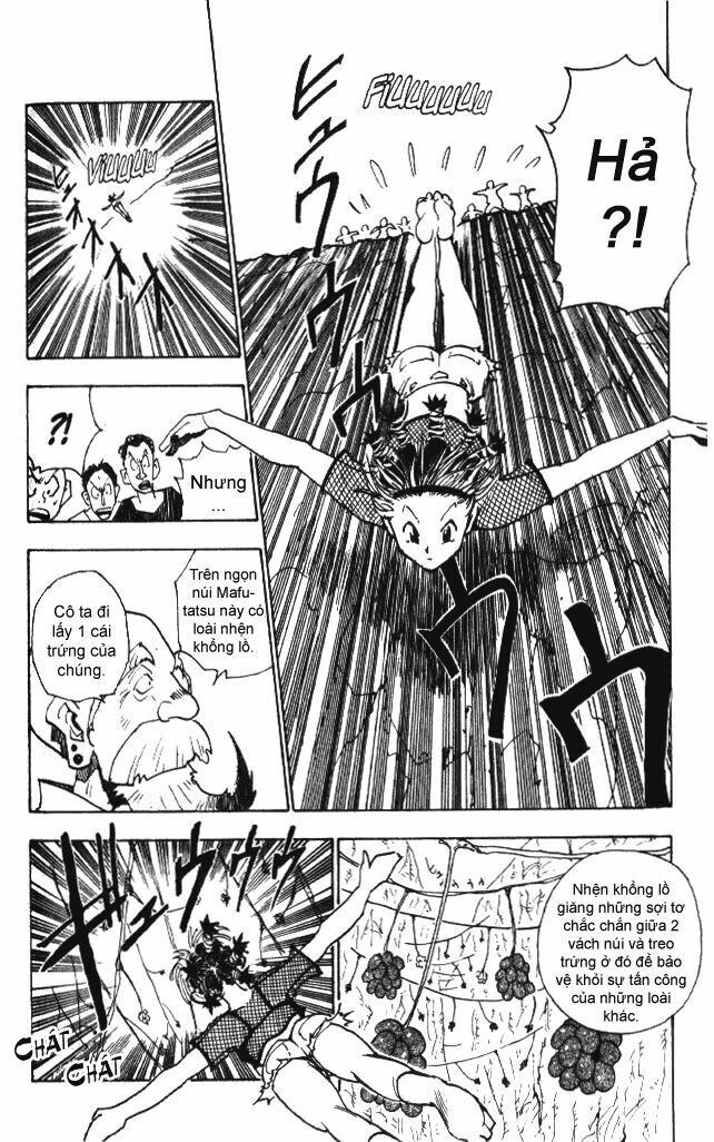 Trang truyện page_13 trong truyện tranh Hunter X Hunter - Chapter 12 - truyentvn.net