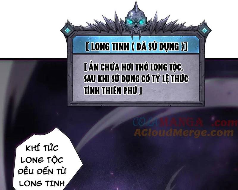 Thảm Họa Tử Linh Sư