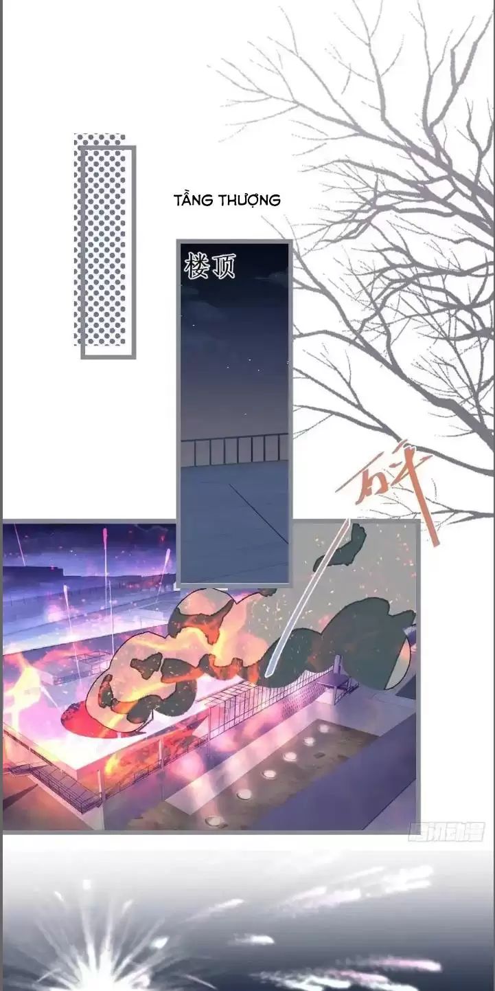 Hắc Đạo Này Có Chút Manh [Chap 209-242] - Page 30