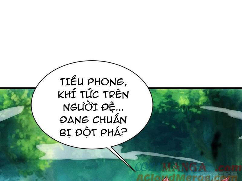 Thê Tử Của Ta Là Đại Lão Đại Thừa Kỳ