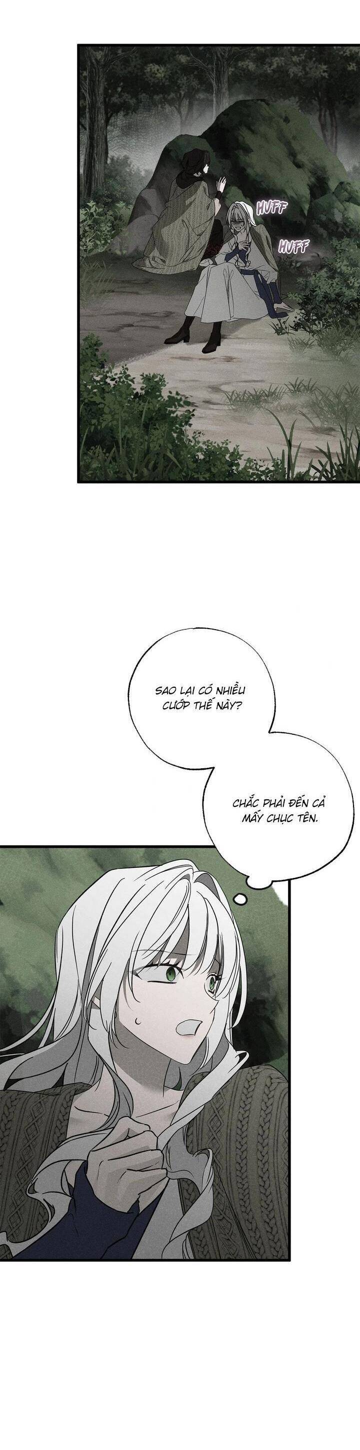 Vị Phu Quân Căm Ghét Tôi Đã Mất Trí Nhớ [Chap 54] - Page 19