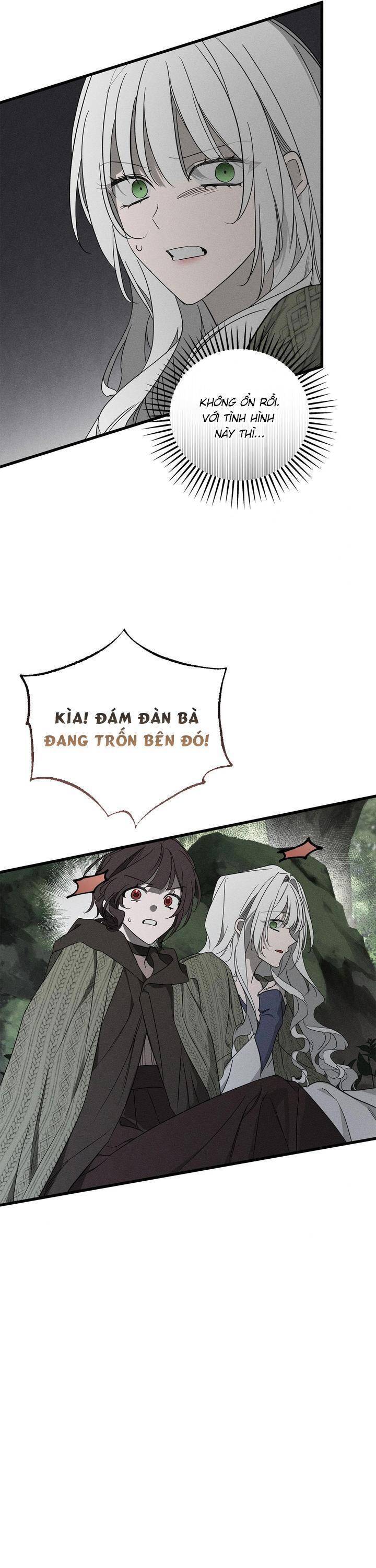 Vị Phu Quân Căm Ghét Tôi Đã Mất Trí Nhớ [Chap 54] - Page 21