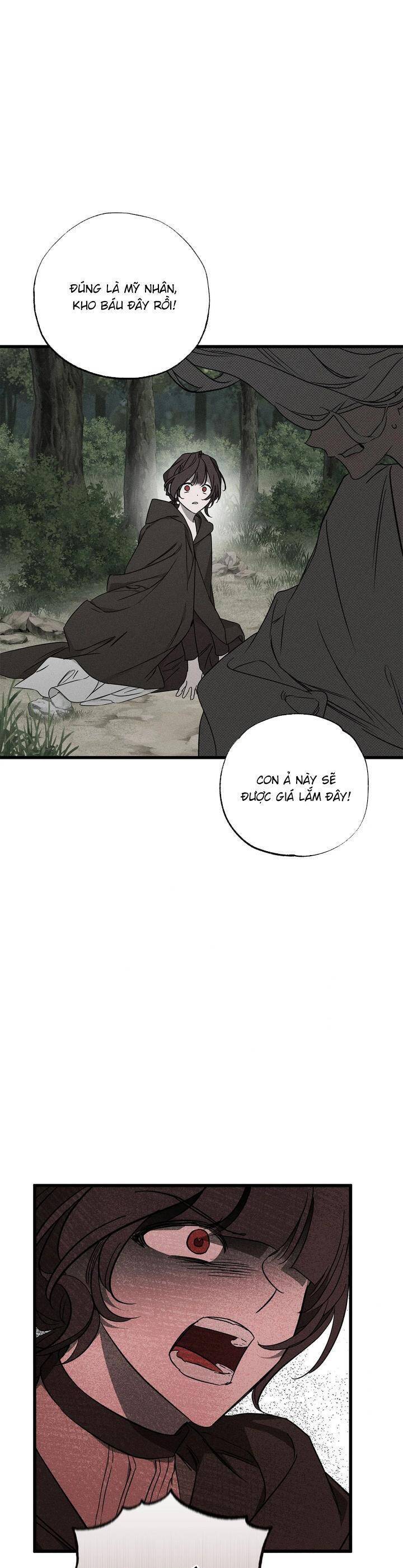 Vị Phu Quân Căm Ghét Tôi Đã Mất Trí Nhớ [Chap 54] - Page 26