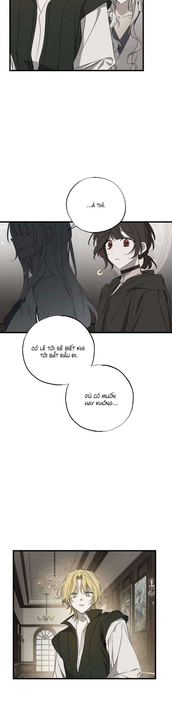 Vị Phu Quân Căm Ghét Tôi Đã Mất Trí Nhớ [Chap 55] - Page 17