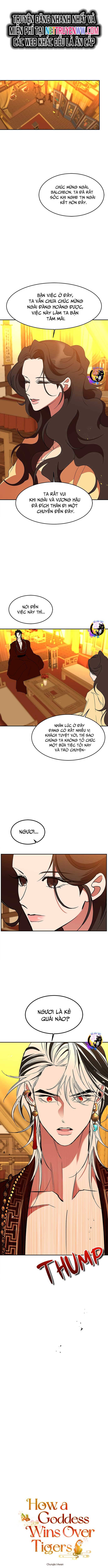 Chiến Lược Săn Hổ Của Nữ Thần [Chap 55-69] - Page 0