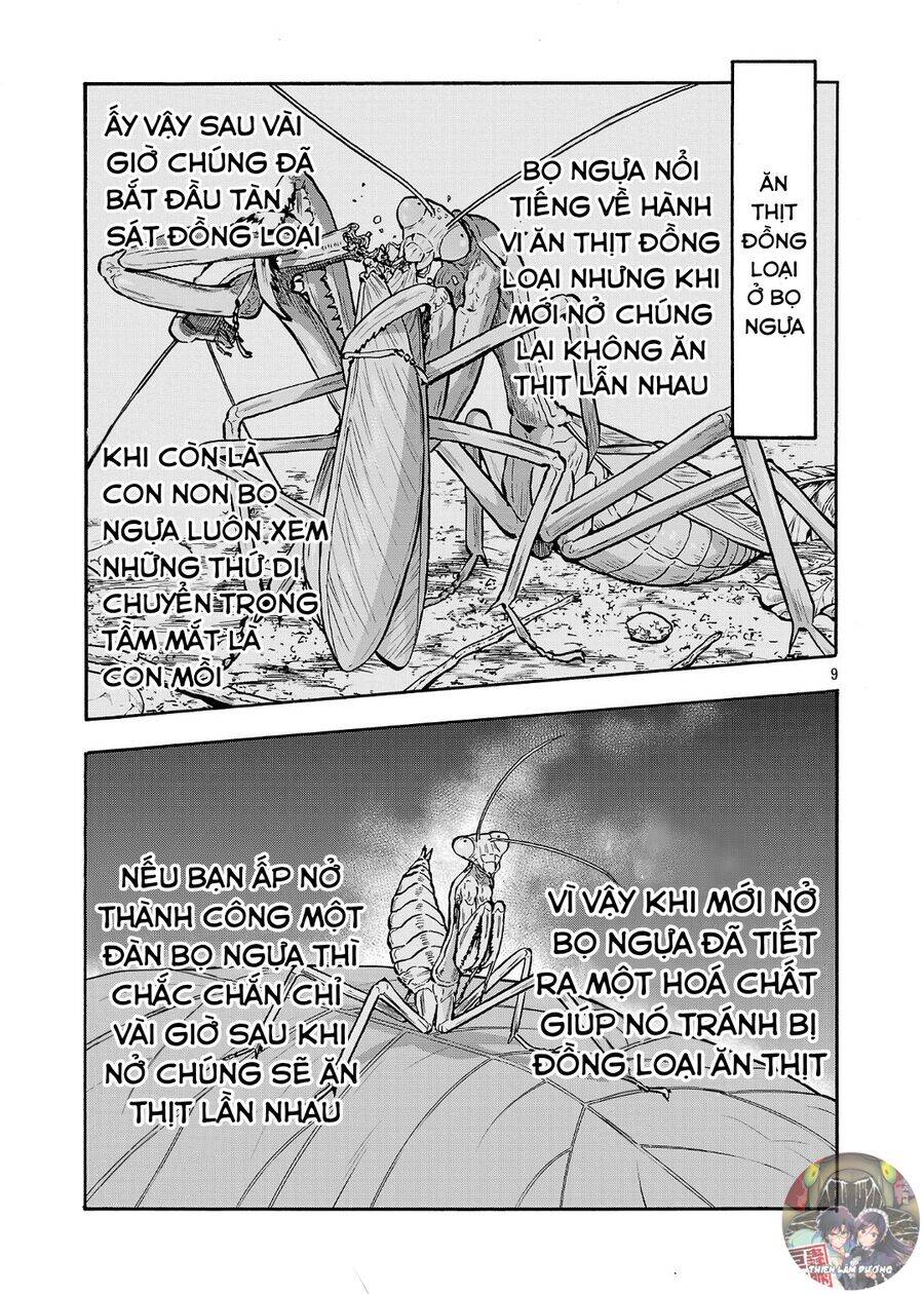 Siêu Đảo Côn Trùng [Chap 49-49.5] - Page 10