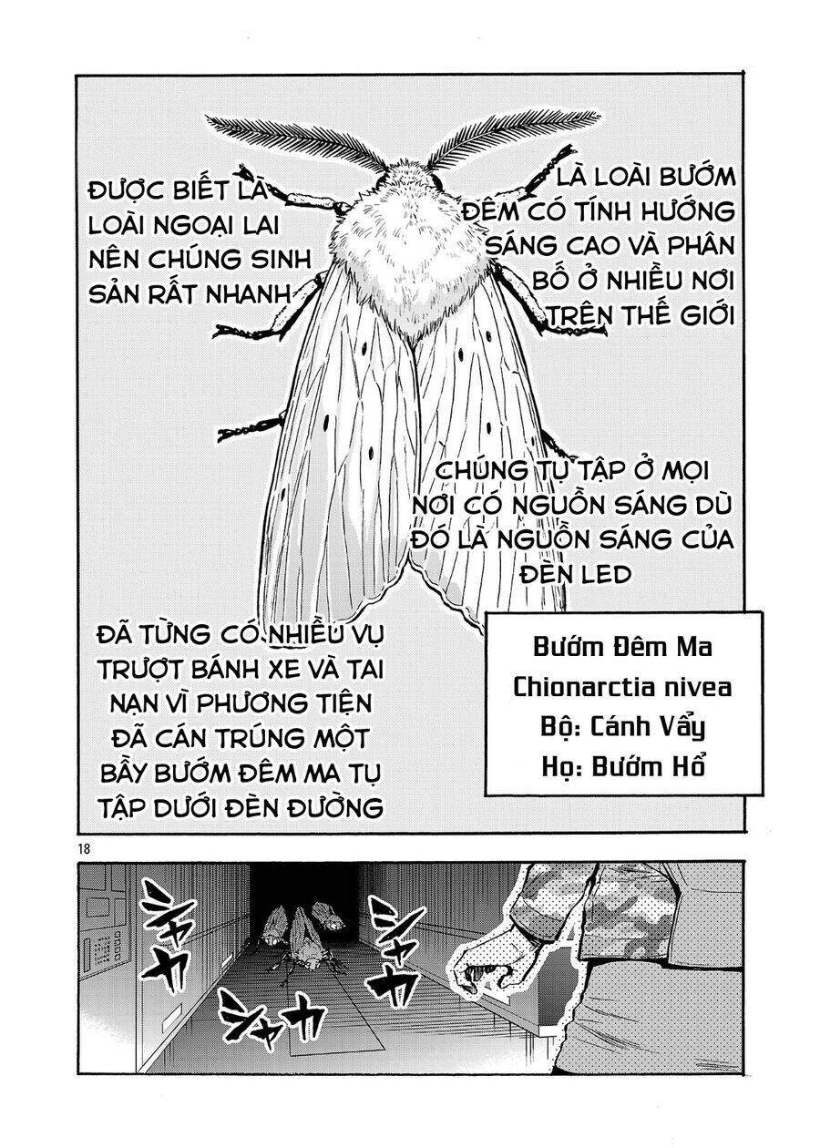 Siêu Đảo Côn Trùng [Chap 49-49.5] - Page 19