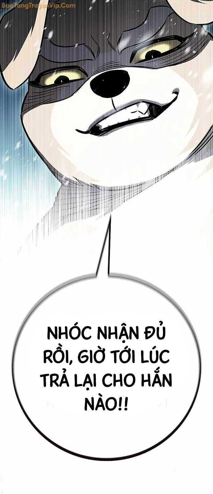 Hoá Thân Thành Mèo [Chap 334]