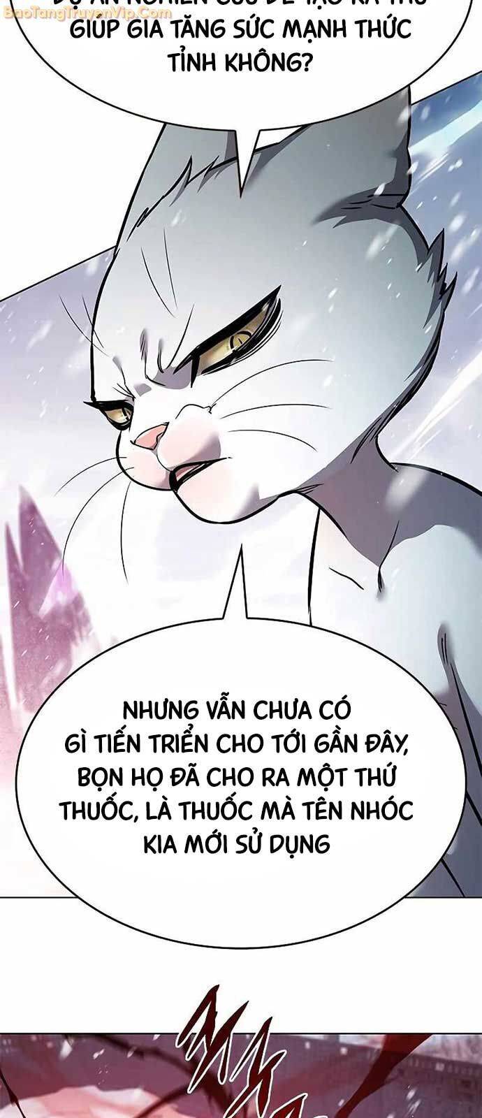 Hoá Thân Thành Mèo [Chap 334]