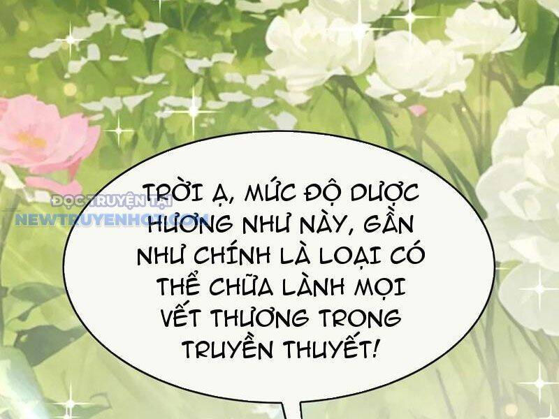 Đại Lão Xuống Núi Bắt Đầu Từ Việc Trở Thành Thư Ký [Chap 36-71]