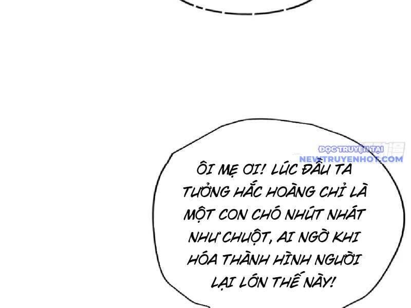 Hoá Ra Ta Đã Vô Địch Từ Lâu [Chap 235-249]