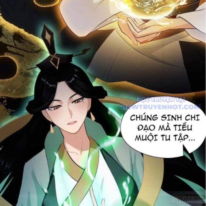 Hoá Ra Ta Đã Vô Địch Từ Lâu [Chap 235-249]