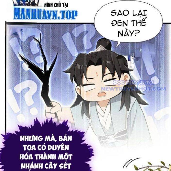 Hoá Ra Ta Đã Vô Địch Từ Lâu [Chap 250-251]