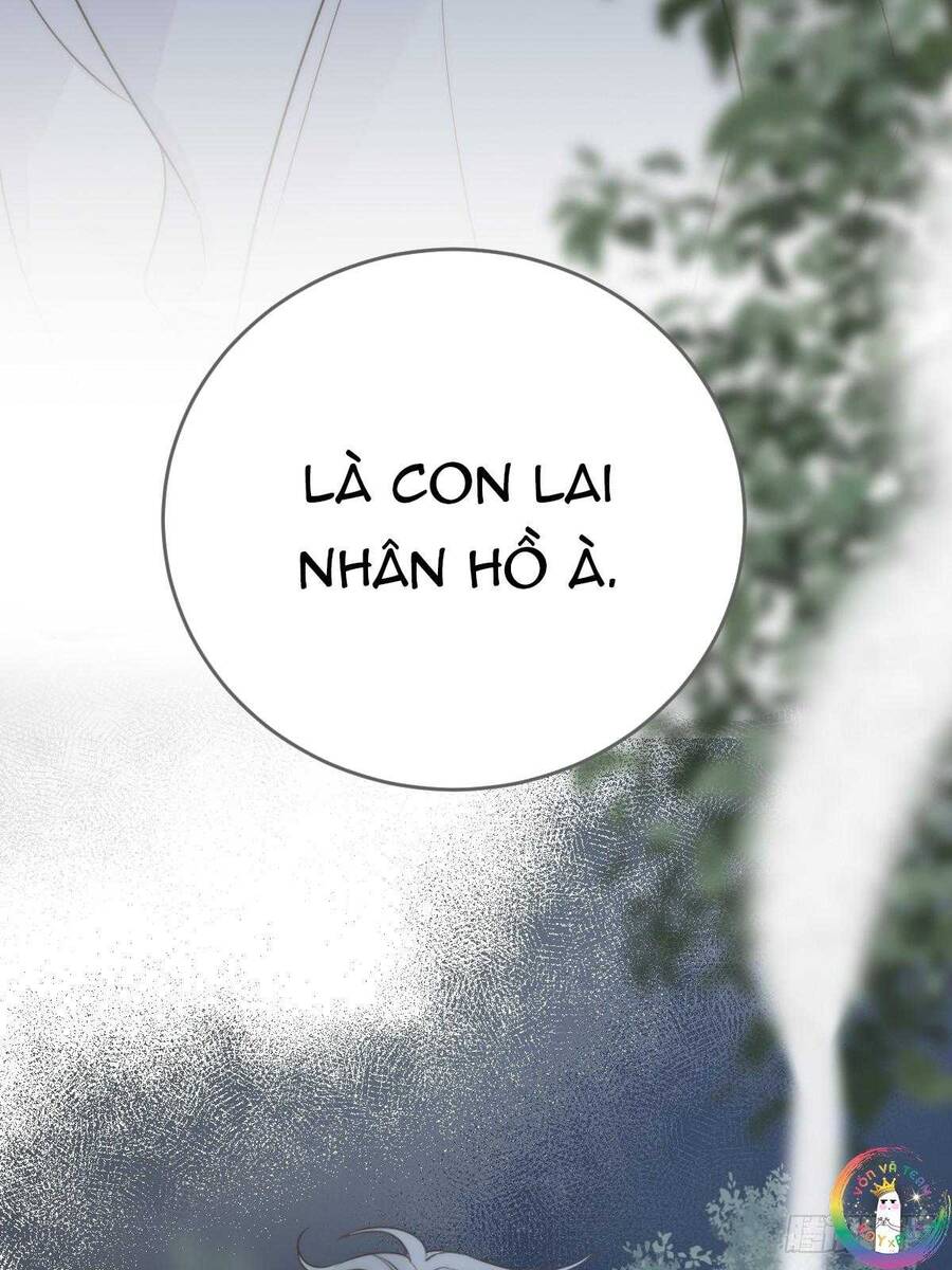 frame-15