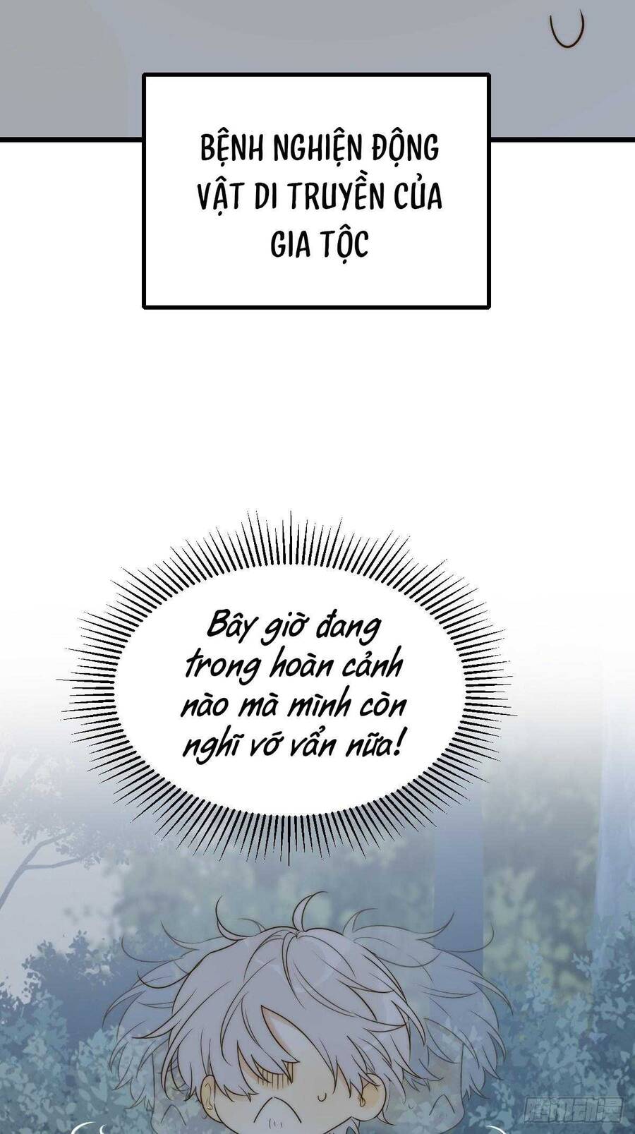 frame-5