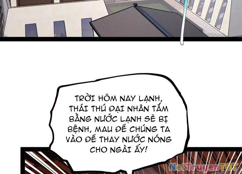 Chàng Rể Mạnh Nhất Lịch Sử [Chap 265-269]