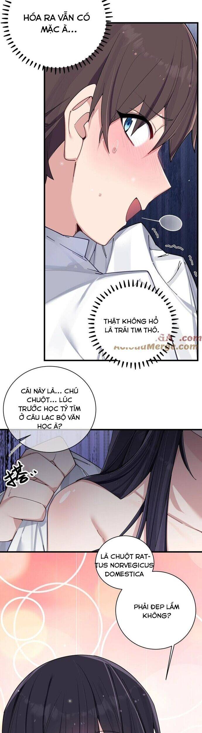 Làm Sao Để Chạy Trốn Dàn Hậu Cung [Chap 136-165] - Page 5