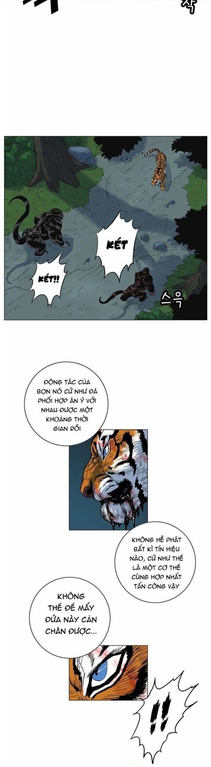 Anh Trai Tôi Là Hổ [Chap 55-65]