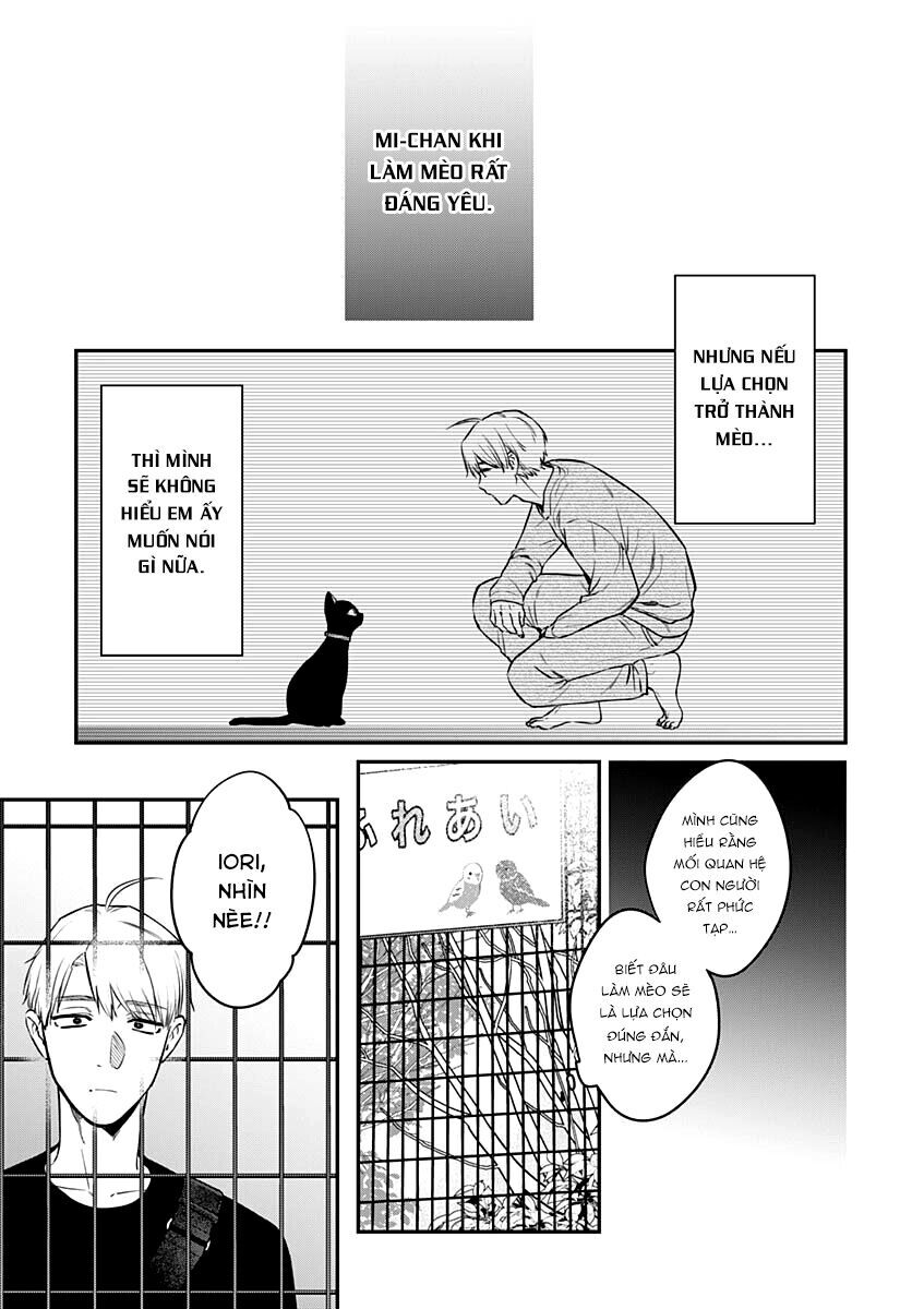 Mi-Chan Wa Kawaretai [Chap 16-18]