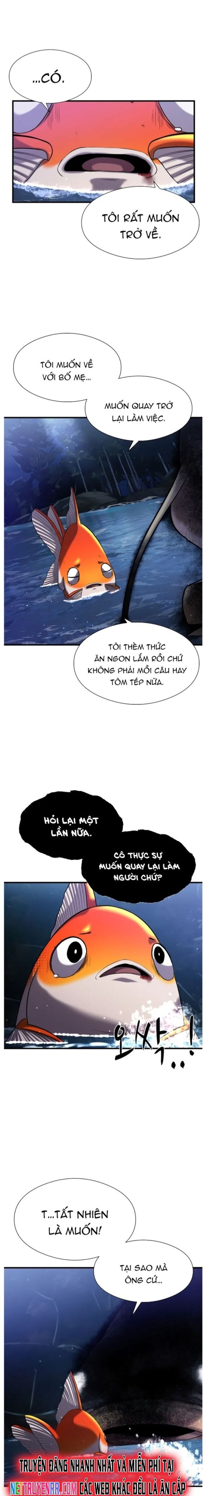 Hoá Thân Thành Cá [Chap 25-39]