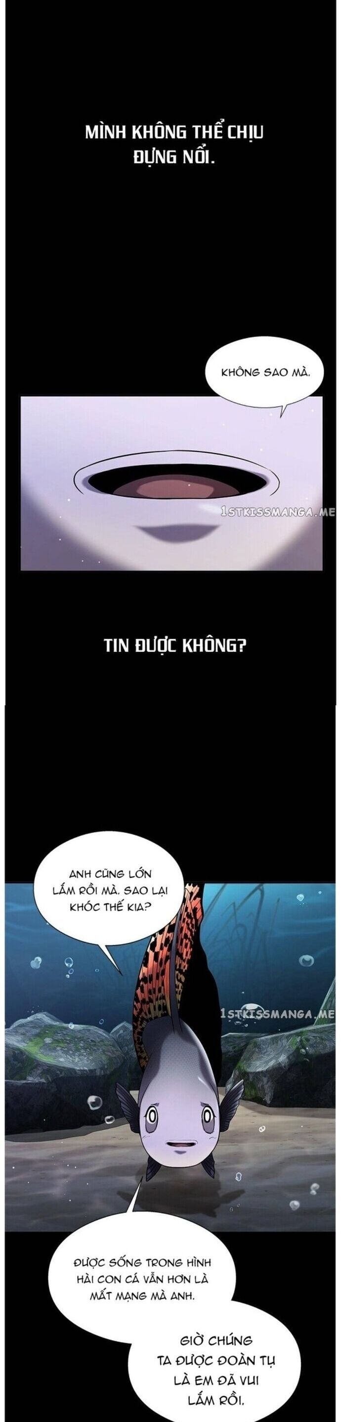 Hoá Thân Thành Cá [Chap 25-39]